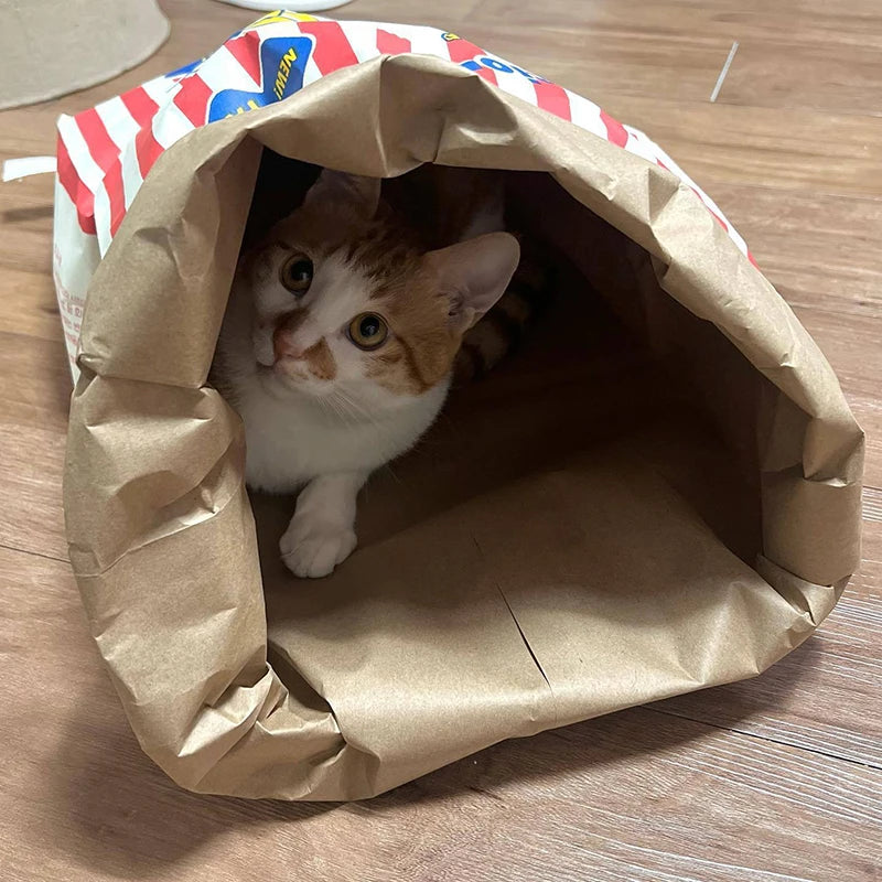 Popcorn Kraft Paper Bag Pet Toy