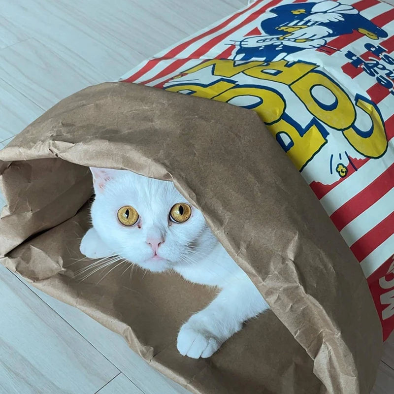Popcorn Kraft Paper Bag Pet Toy