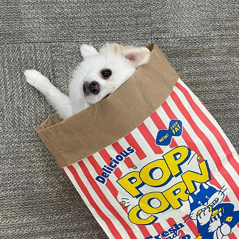 Popcorn Kraft Paper Bag Pet Toy
