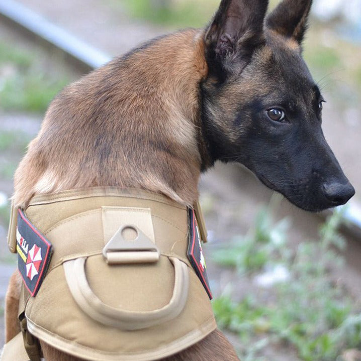 Tactical Dog Outgoing Harness
