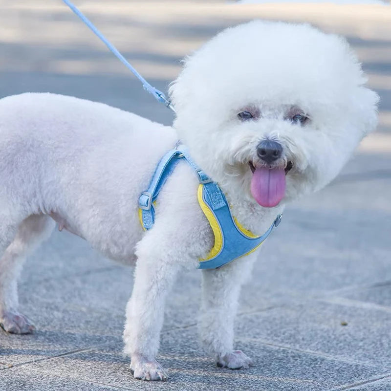 Two-tone Color Dog Harness Leash Set
