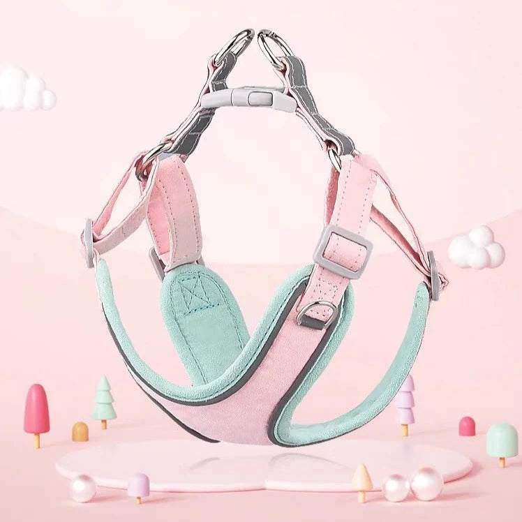 Two-tone Color Dog Harness Leash Set