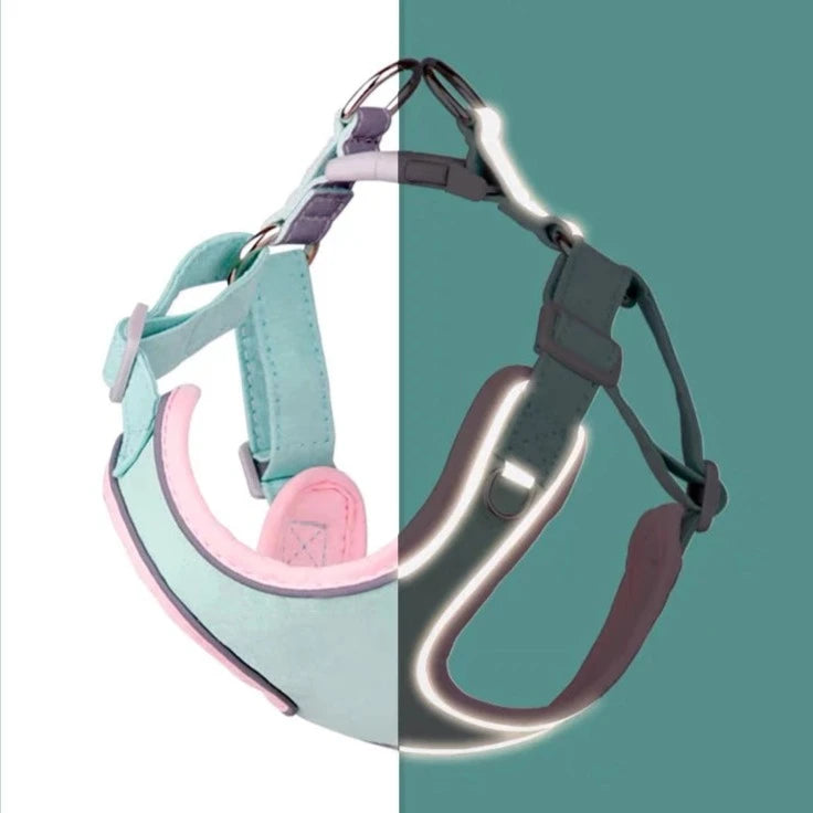 Two-tone Color Dog Harness Leash Set