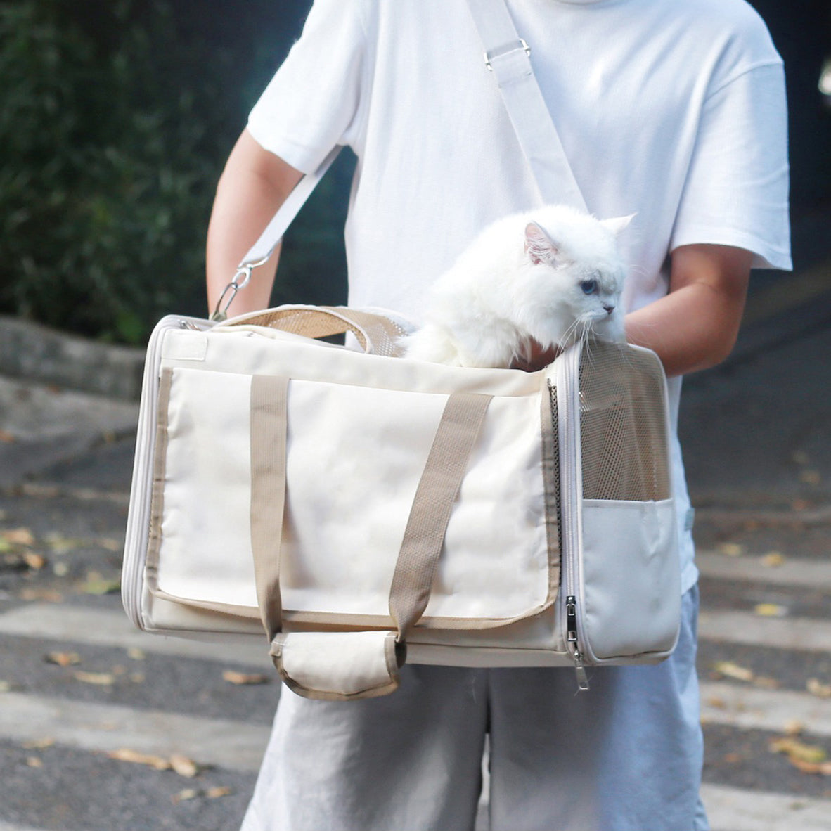 Huge Capacity Mesh Window Cat Carrier Bag