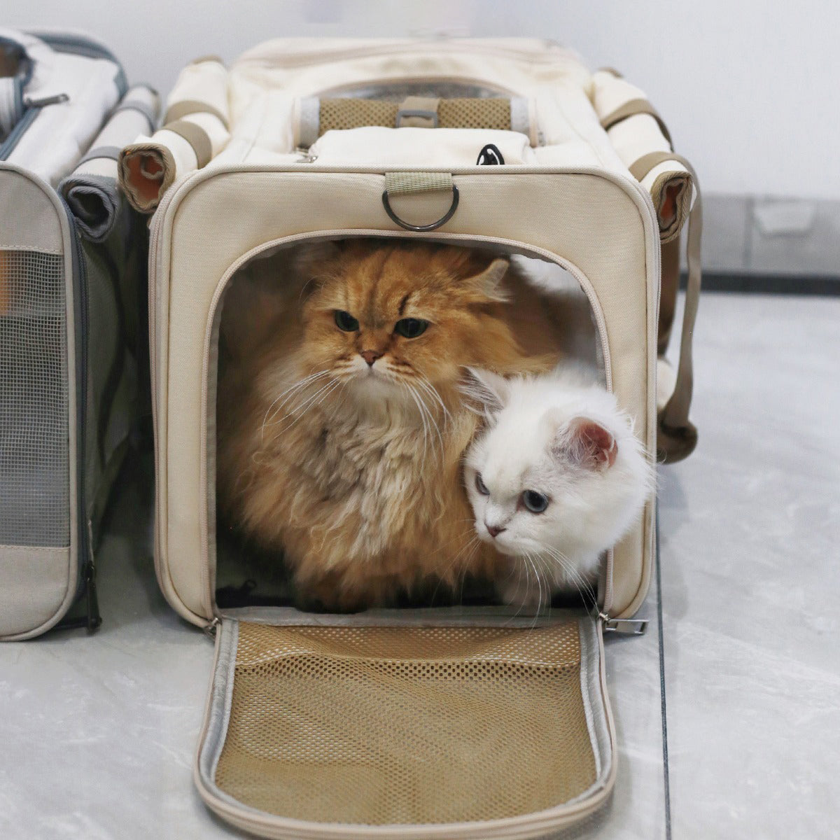 Huge Capacity Mesh Window Cat Carrier Bag