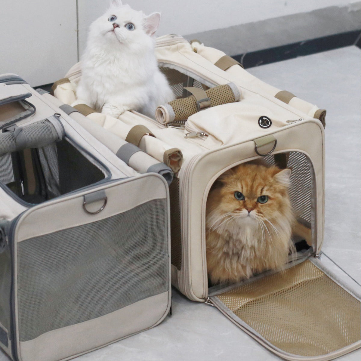 Huge Capacity Mesh Window Cat Carrier Bag