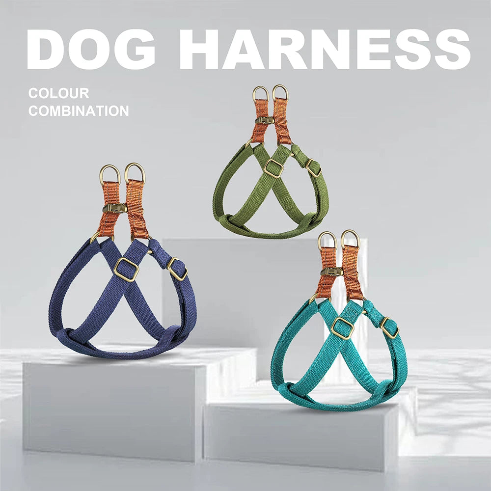 Custom Dog Harness