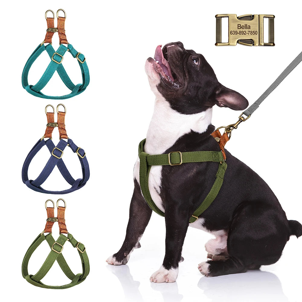 Custom Dog Harness
