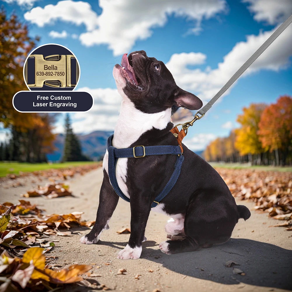 Custom Dog Harness