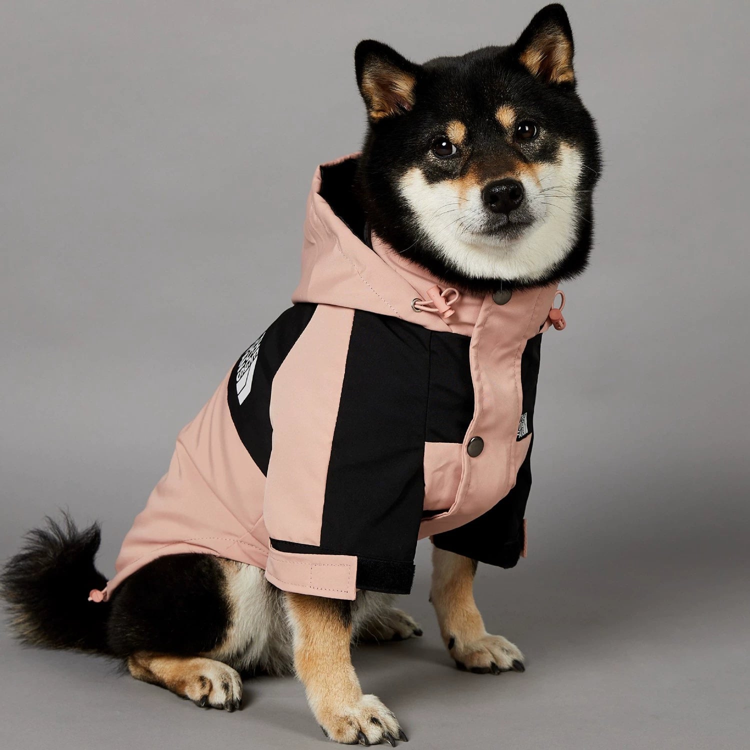 Pink Outdoors Dog Raincoat