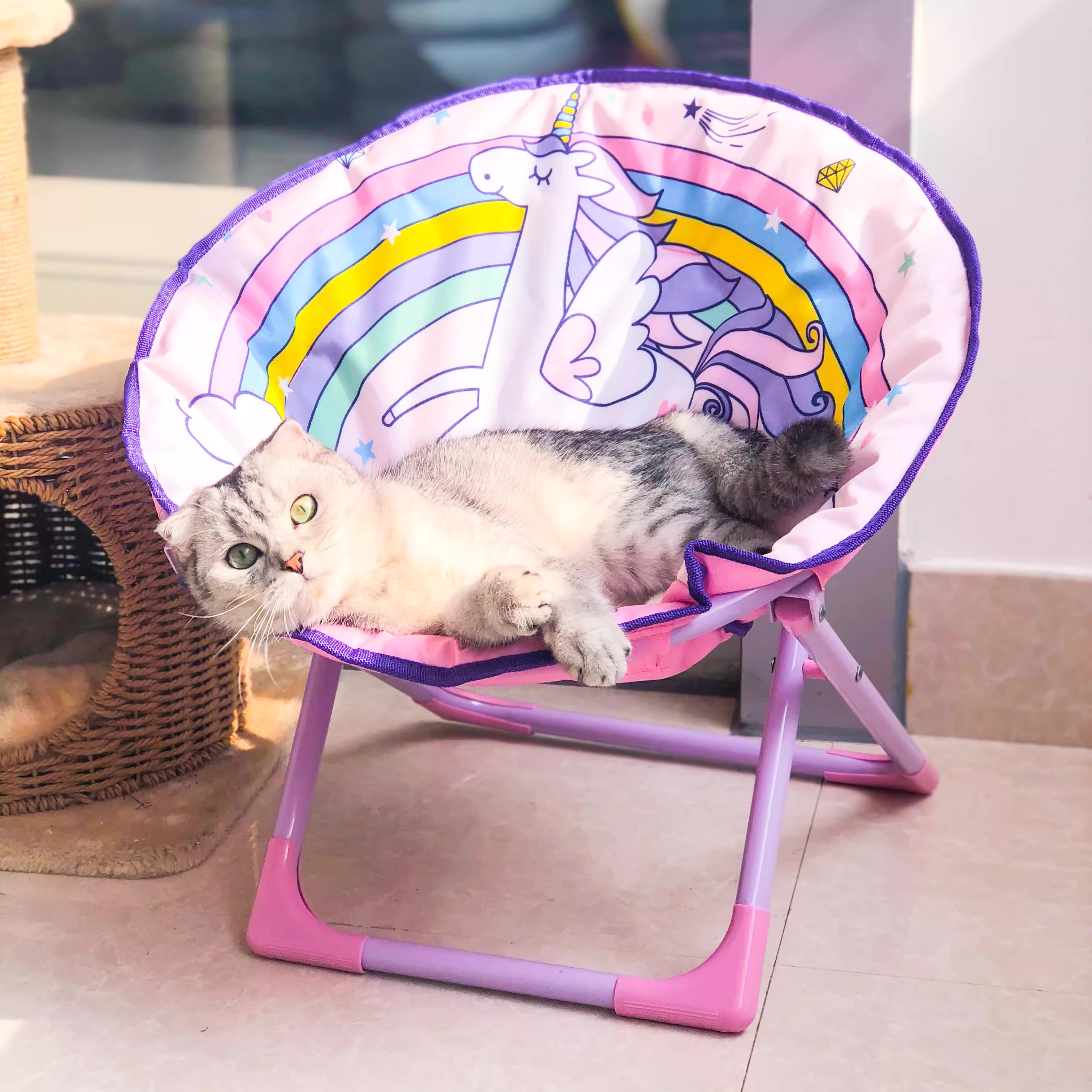 Foldable Leisure Pet Chair