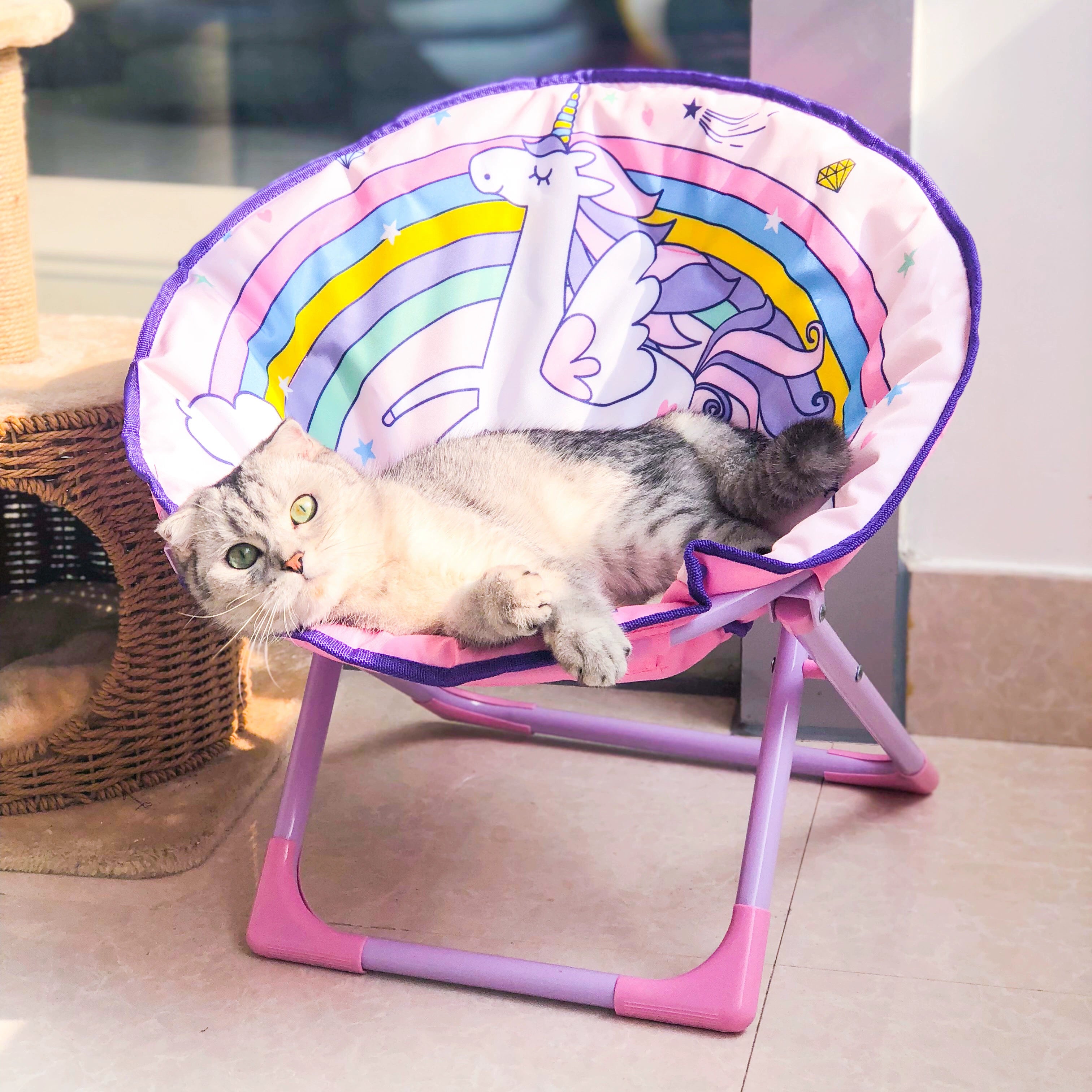 Foldable Leisure Pet Chair