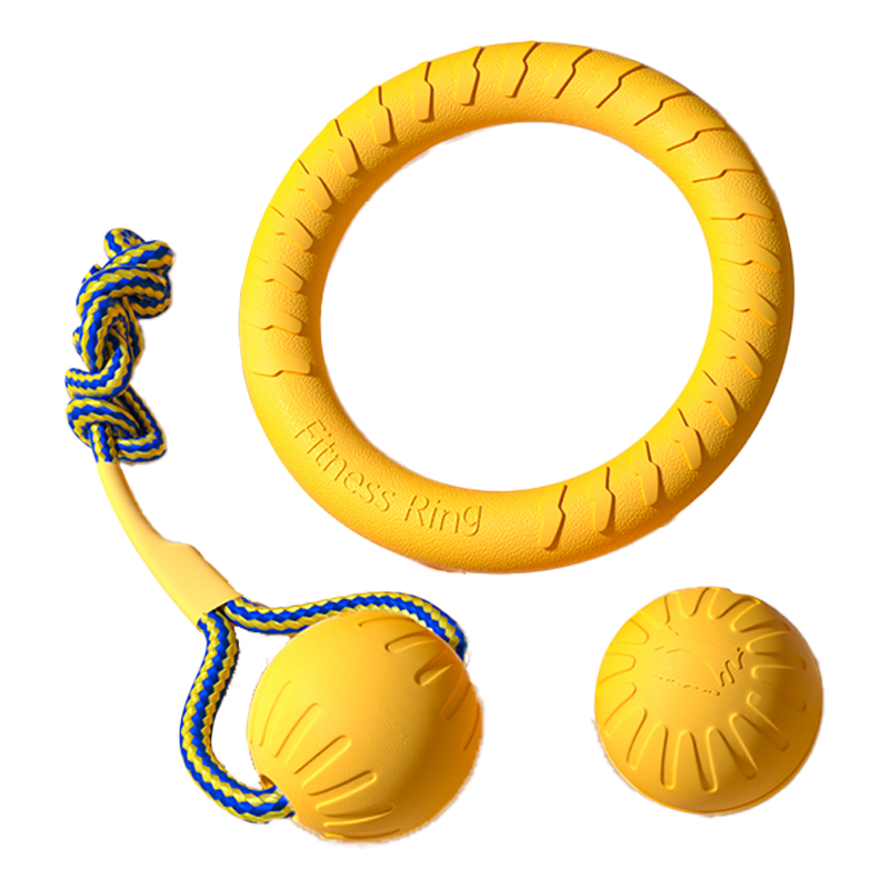 Outdoor Training Ring Frisbee Ball Dog Toy Set