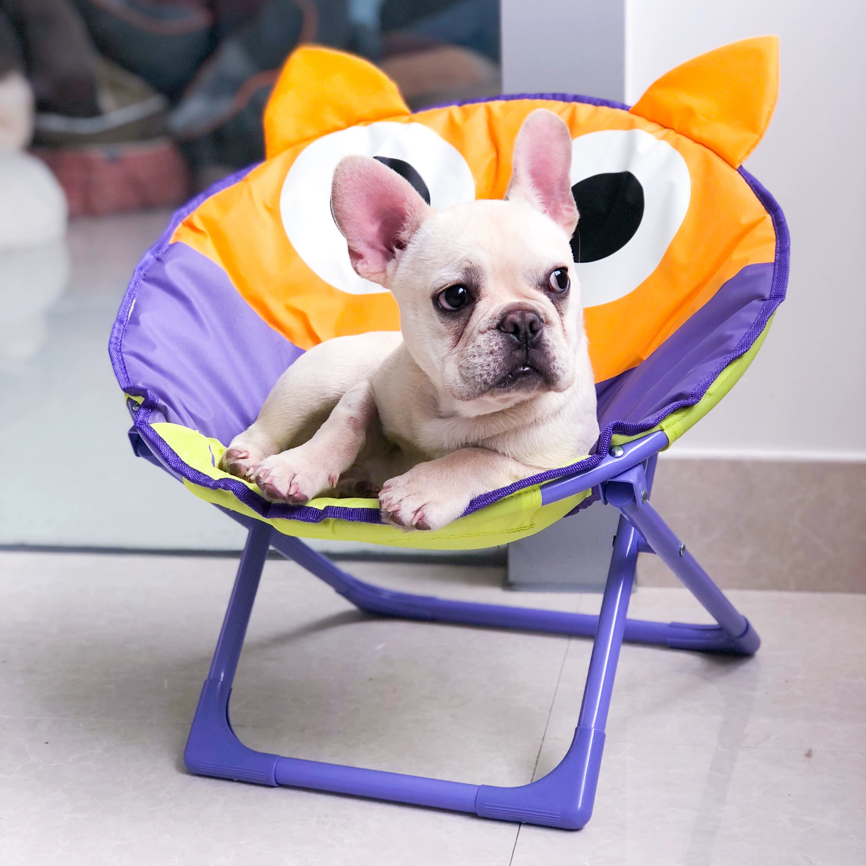 Foldable Leisure Pet Chair