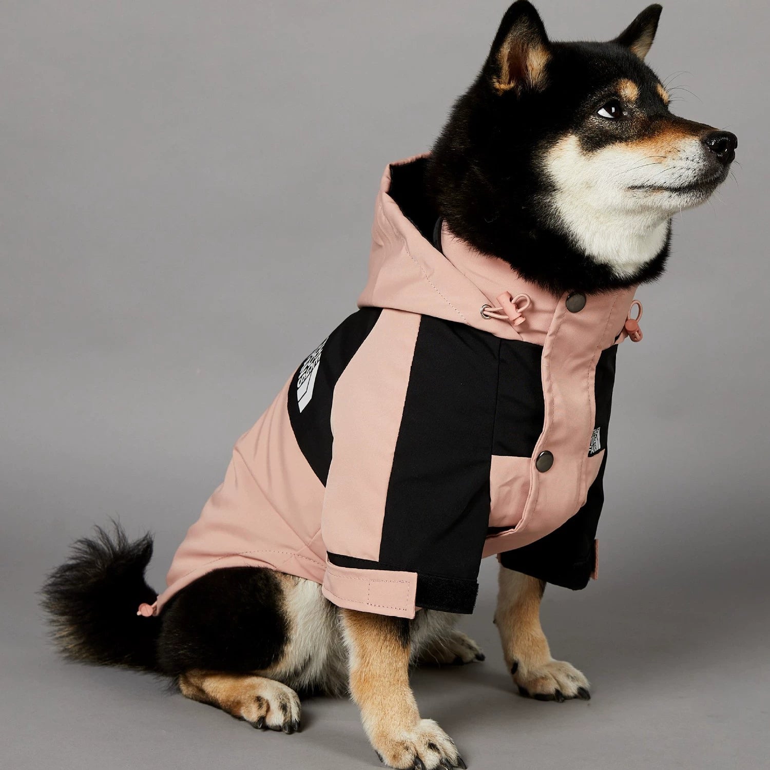 Pink Outdoors Dog Raincoat