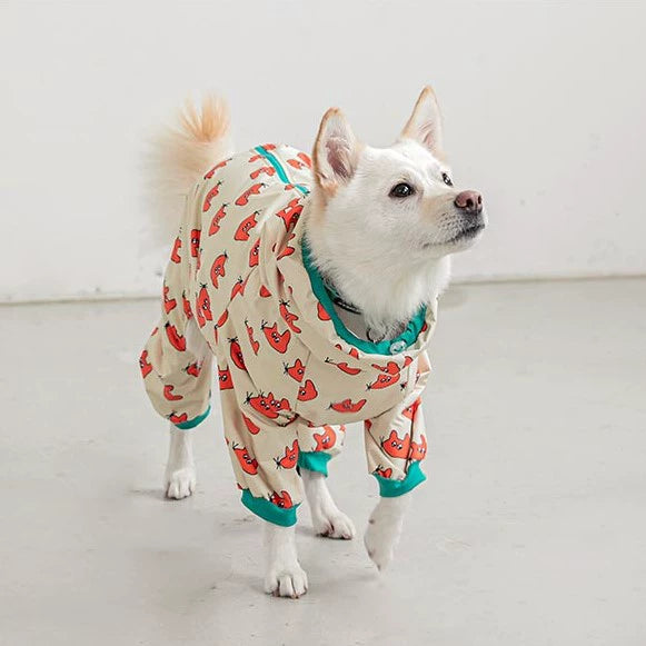 Cartoon Design Dog Waterproof Raincoat