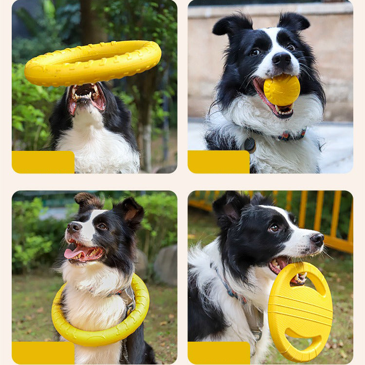 Outdoor Training Ring Frisbee Ball Dog Toy Set