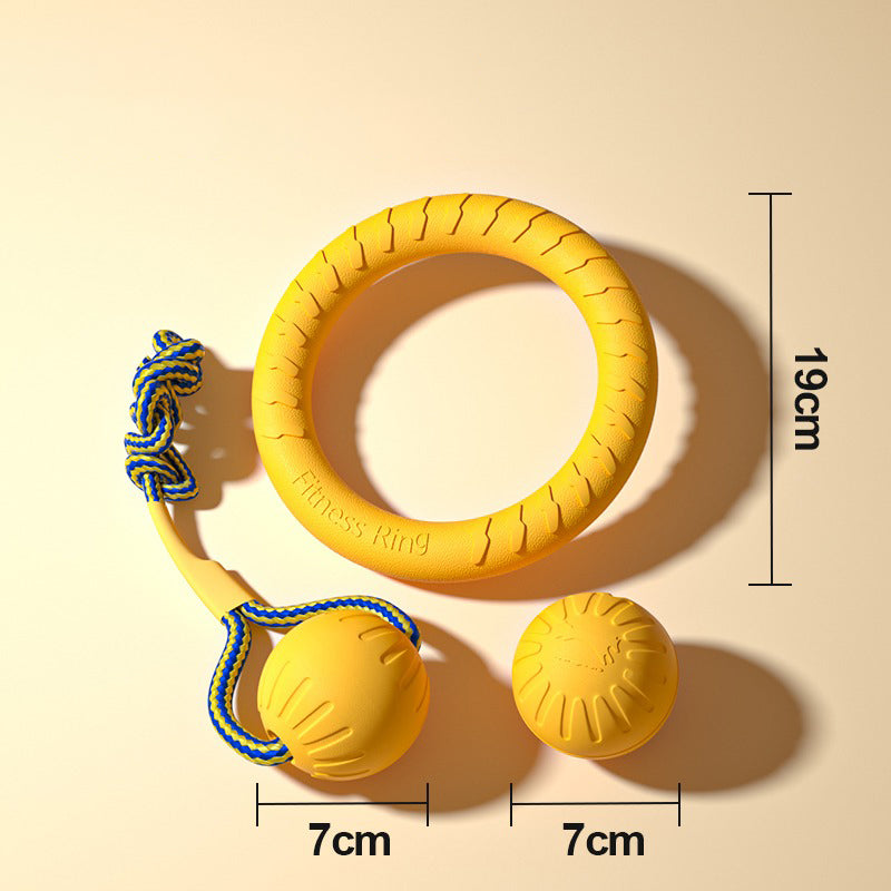 Outdoor Training Ring Frisbee Ball Dog Toy Set