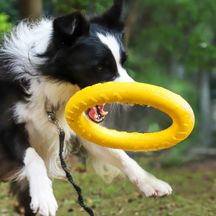 Outdoor Training Ring Frisbee Ball Dog Toy Set