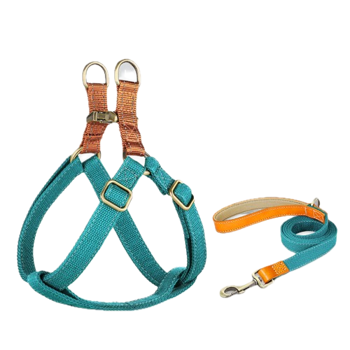 Custom Dog Harness