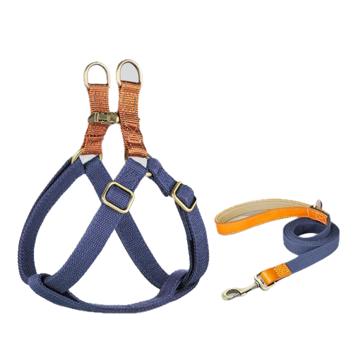Custom Dog Harness