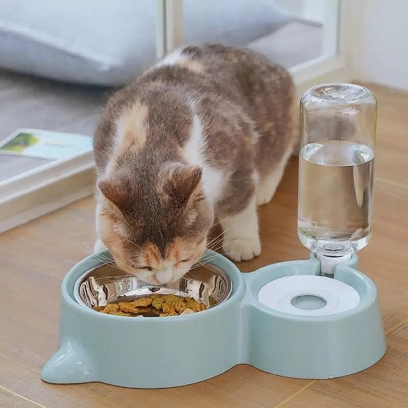 Mint Green Pet Bowl Food Water Feeder
