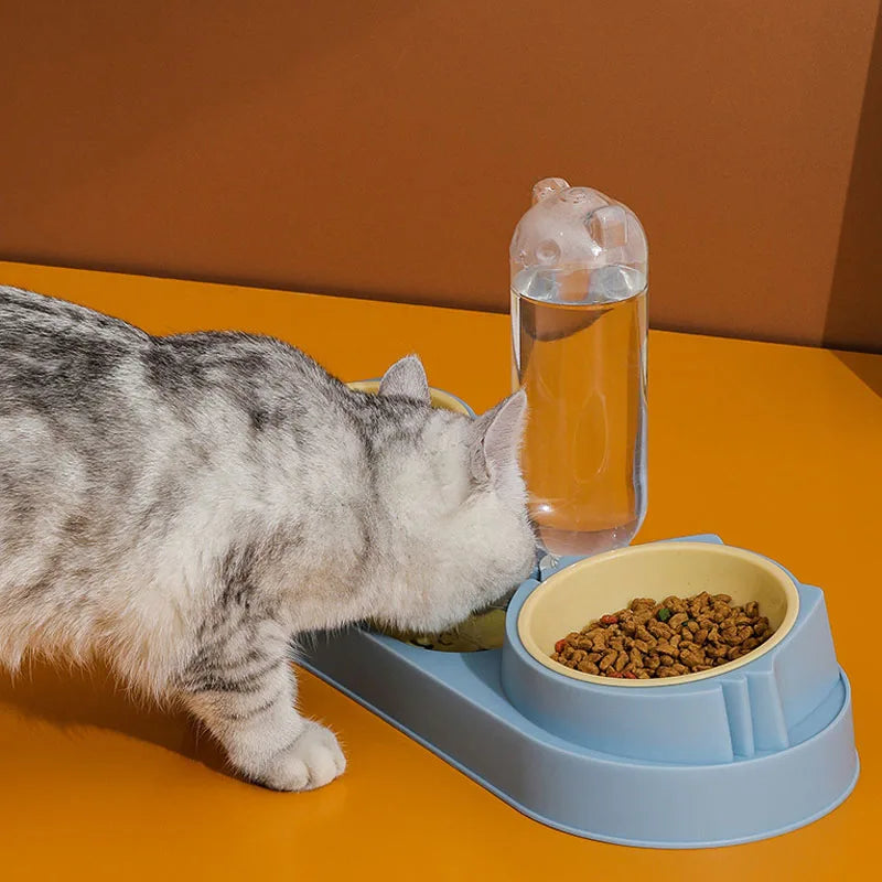 Separate Design Pet Cat Bowl Set