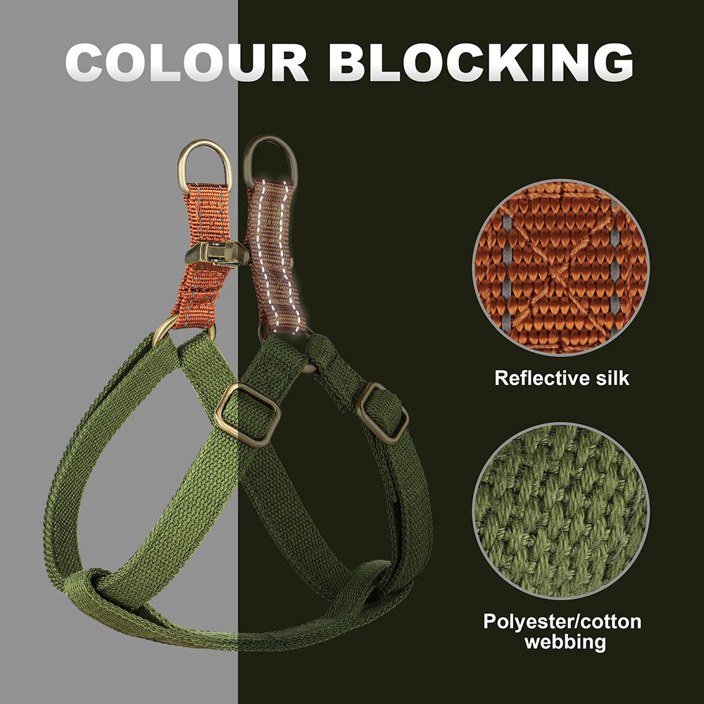 Custom Dog Harness