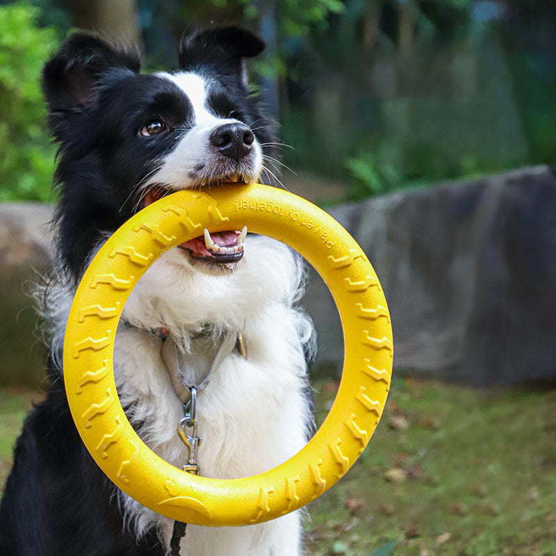Outdoor Training Ring Frisbee Ball Dog Toy Set