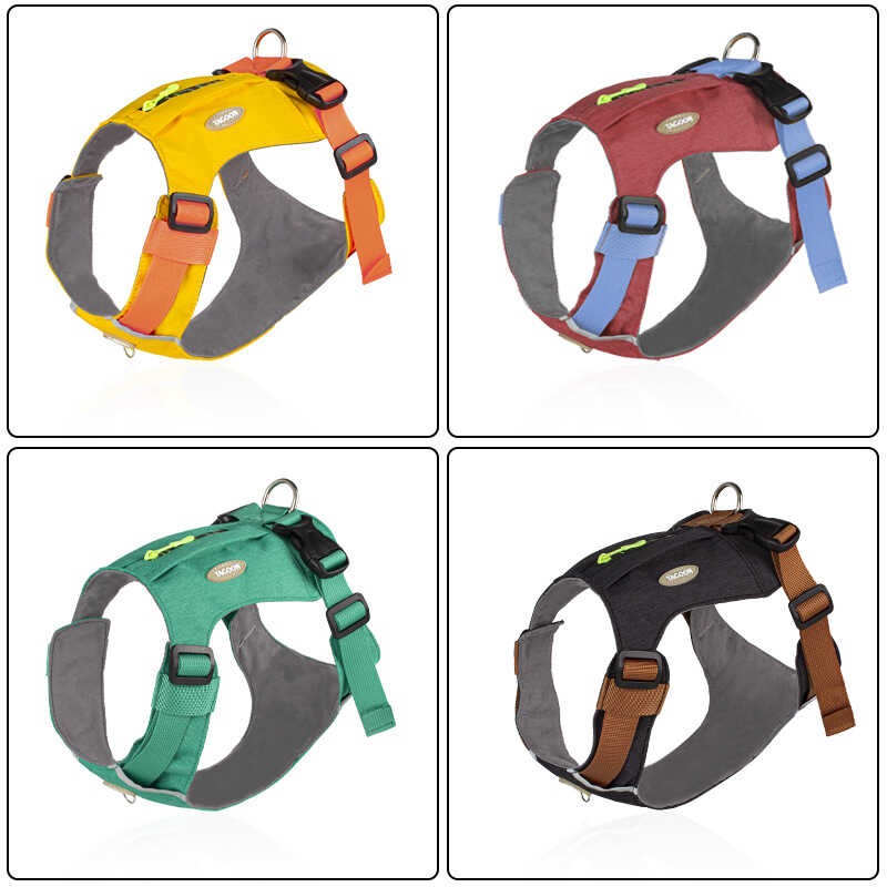 Zipper Pocket Dog Harness